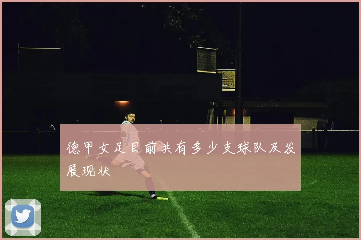 德甲女足目前共有多少支球队及发展现状