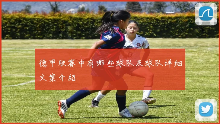 德甲联赛中有哪些球队及球队详细文案介绍