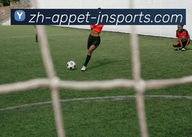 江南体育平台生态图